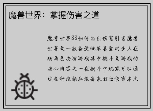 魔兽世界：掌握伤害之道